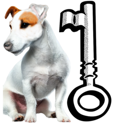 Kaju